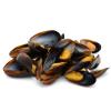 Moules