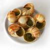 Escargot